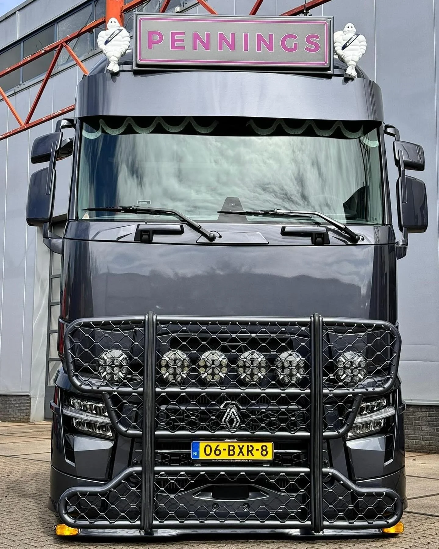 Fox Parts lav solskjerm Renault T - Bilde 2