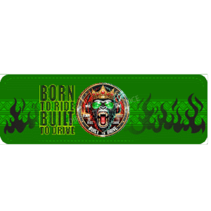Dashboardmatte Eagle Born to Ride